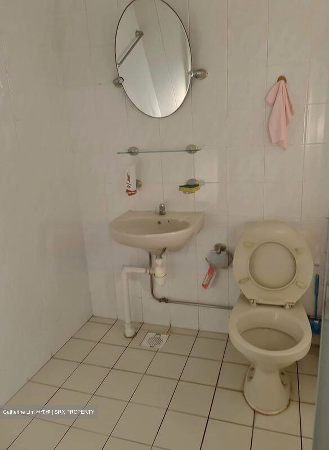 Blk 233 Compassvale Plains (Sengkang), HDB 5 Rooms #569752121